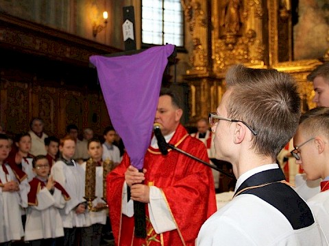 Zdjęcie 34 z 115