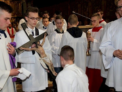 Zdjęcie 50 z 115