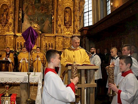 Zdjęcie 17 z 22