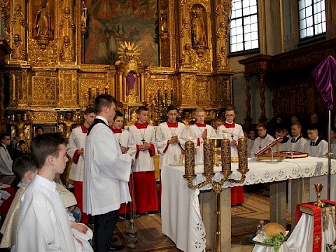 Zdjęcie 19 z 22