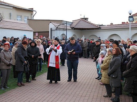 Zdjęcie 2 z 113