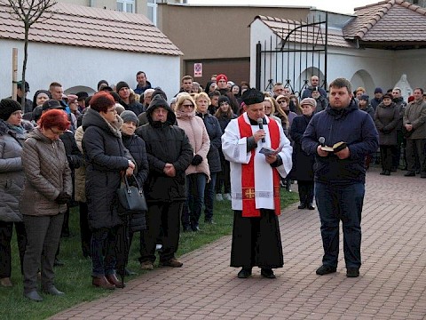 Zdjęcie 4 z 113