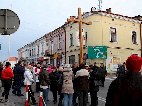 Zdjęcie 11 z 113