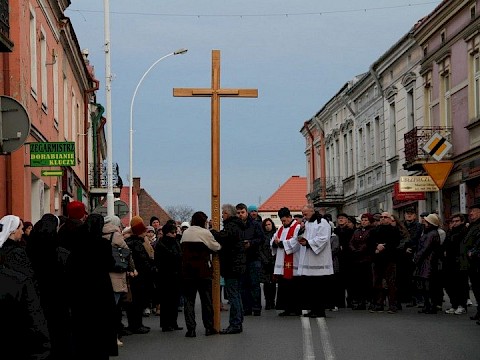 Zdjęcie 13 z 113