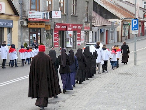 Zdjęcie 23 z 113