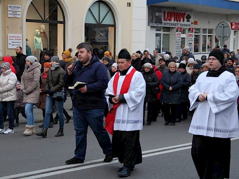 Zdjęcie 41 z 113