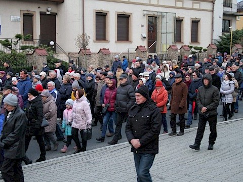 Zdjęcie 50 z 113