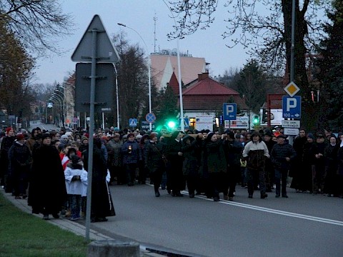 Zdjęcie 71 z 113