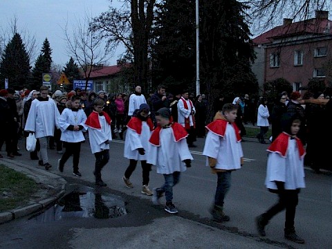 Zdjęcie 74 z 113