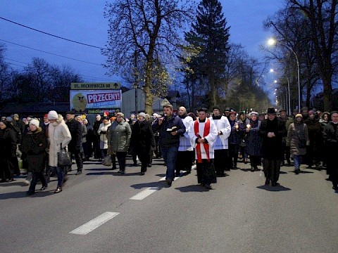 Zdjęcie 75 z 113