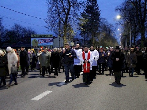 Zdjęcie 76 z 113