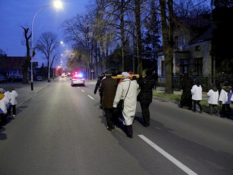Zdjęcie 77 z 113