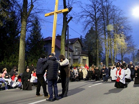 Zdjęcie 78 z 113