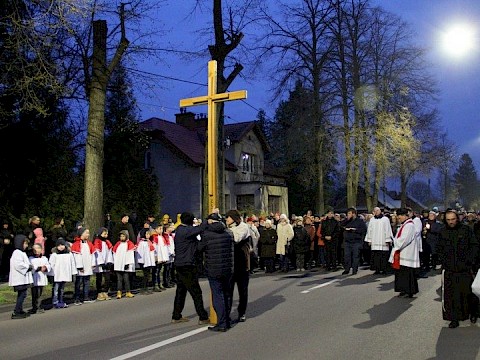 Zdjęcie 79 z 113
