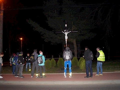 Zdjęcie 7 z 14