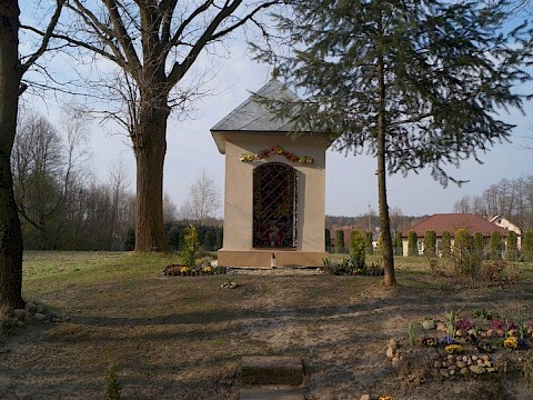 Zdjęcie 14 z 14