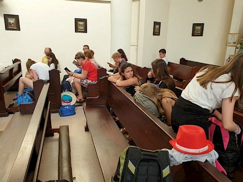 Zdjęcie 5 z 14