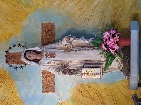 Zdjęcie 5 z 24