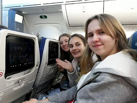 Zdjęcie 7 z 7