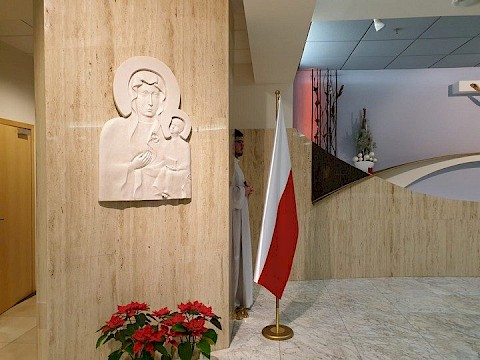 Zdjęcie 7 z 11