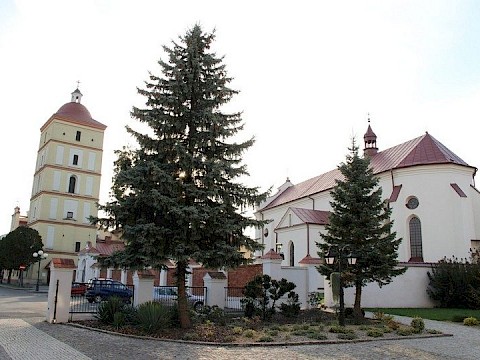 Zdjęcie 1 z 35