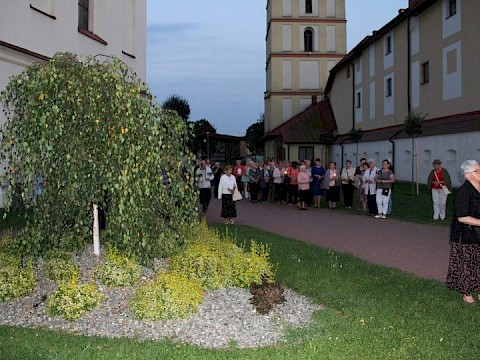 Zdjęcie 8 z 35