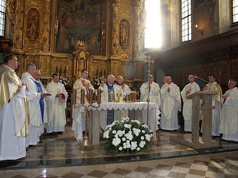 Zdjęcie 13 z 50