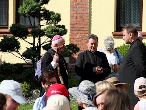 Zdjęcie 27 z 50