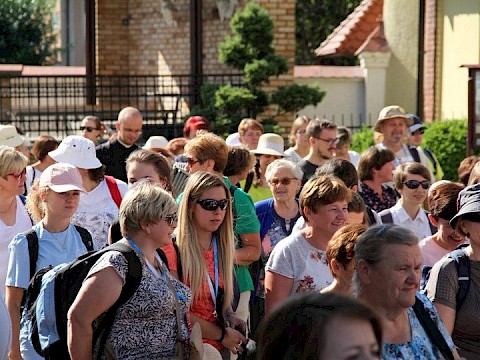 Zdjęcie 41 z 50