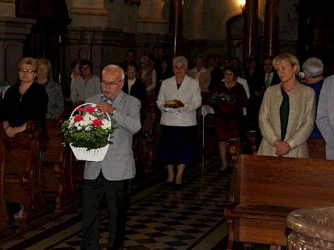 Zdjęcie 11 z 25
