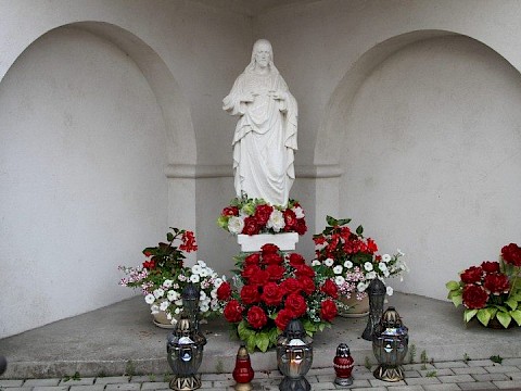 Zdjęcie 3 z 44