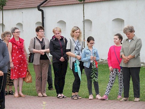 Zdjęcie 13 z 44