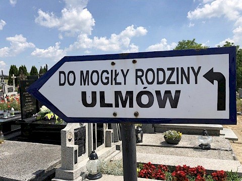 Zdjęcie 33 z 41