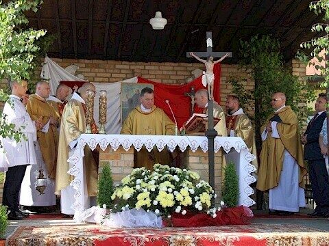 Zdjęcie 14 z 129