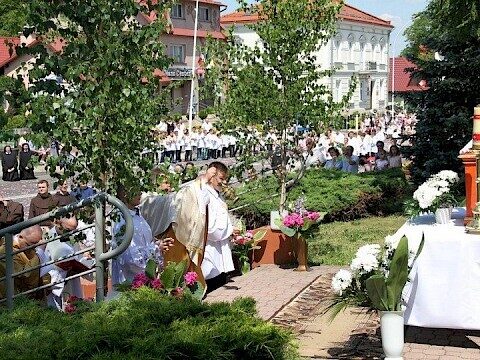 Zdjęcie 62 z 129