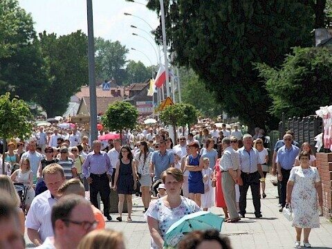 Zdjęcie 76 z 129
