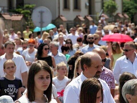 Zdjęcie 78 z 129