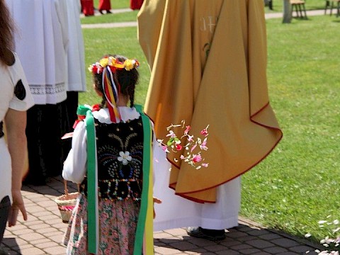 Zdjęcie 42 z 62