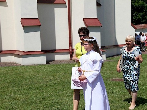 Zdjęcie 43 z 62