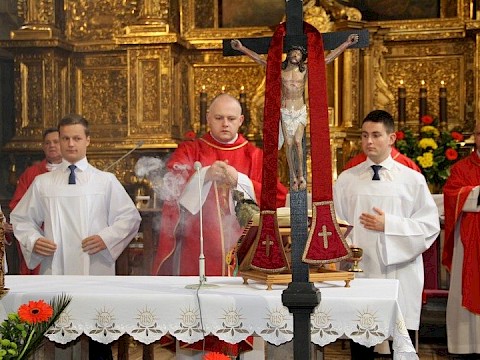 Zdjęcie 1 z 85