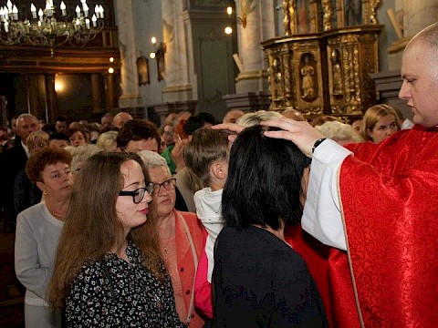 Zdjęcie 53 z 85