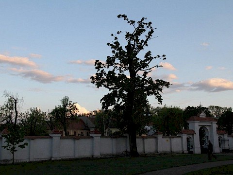 Zdjęcie 24 z 27