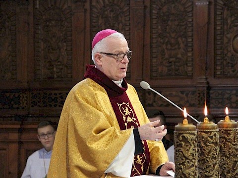 Zdjęcie 15 z 29