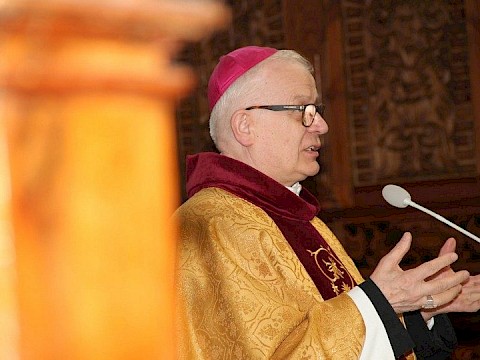 Zdjęcie 18 z 29
