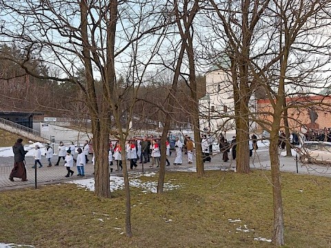 Zdjęcie 7 z 60