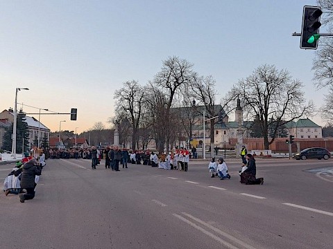 Zdjęcie 14 z 60