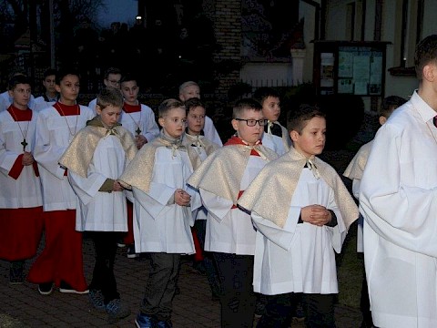 Zdjęcie 5 z 81