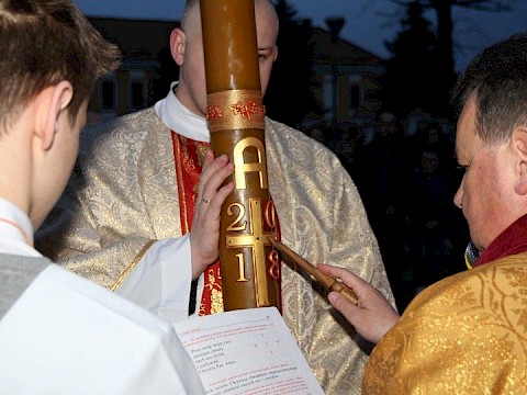 Zdjęcie 14 z 81
