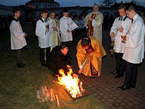 Zdjęcie 20 z 81