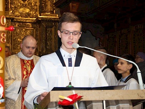 Zdjęcie 31 z 81